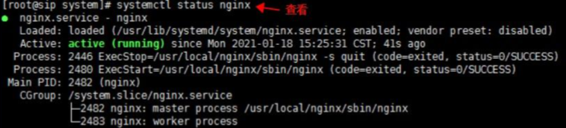 check-nginx