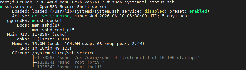 check-ssh